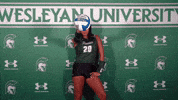 Iwuwvb24 GIF by iwusports