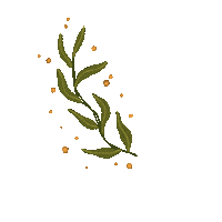 acamisart boho ornament leafs branch Sticker