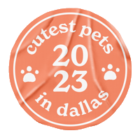 Pets Dallas Sticker by dmagdigital