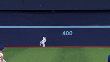 Blue Jays Wow GIF by MLB