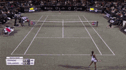 celebrate lets go GIF by WTA