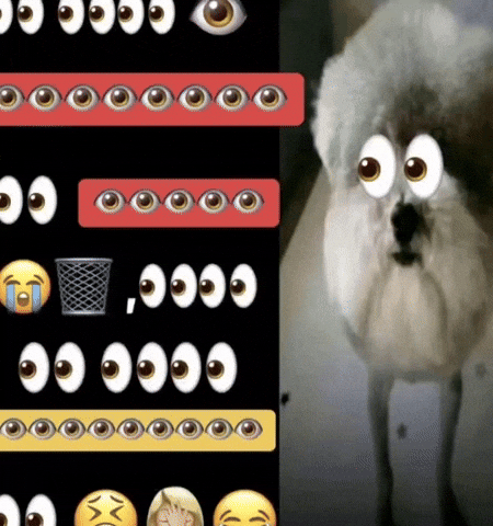Dog Statement GIF