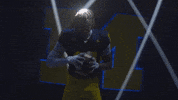 Go Blue Michigan Football GIF by Michigan Athletics
