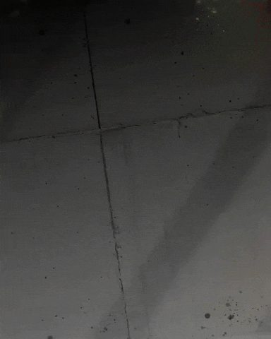 Vasco Da Gama GIF