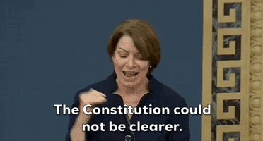 Voting Rights Democrat GIF by GIPHY News