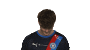 Happy Holstein Kiel Sticker by Bundesliga