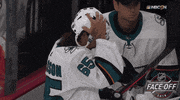 grooming ice hockey GIF by NHL