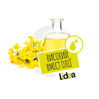 lidea_seeds canola rapeseed lidea lidea seeds Sticker