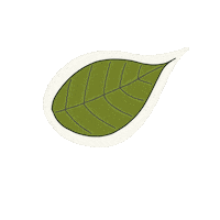 Fall Autumn Sticker