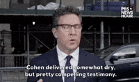 "Dry, but pretty compelling testimony."