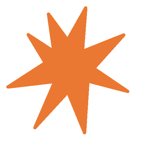 Illustration Star Sticker