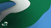 Tulane Swimming GIF by GreenWave