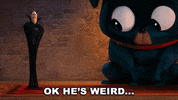 Drac GIF by Hotel Transylvania