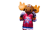 faint pass out Sticker by Newcastle Northstars