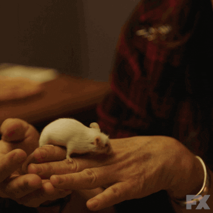 GIF by Better Things