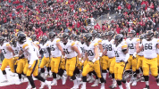 Iowa Hawkeyes Hawks GIF by University of Iowa Hawkeyes Athletics