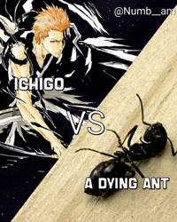 Peak Kurosaki Ichigo GIF
