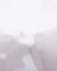 Jjk GIF by MSR Media Network
