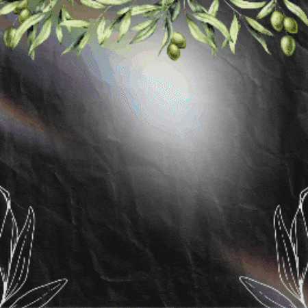 Palestine Gaza GIF by violeta.exa