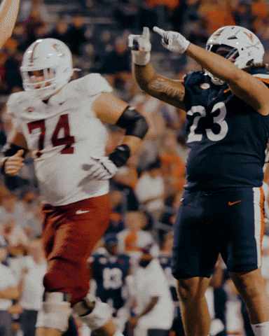 Scott Stadium Uva GIF by Virginia Athletics