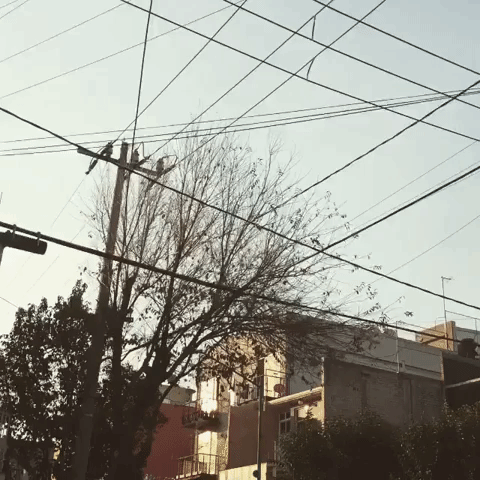 Earthquake Shakes Power Lines in Mexico City