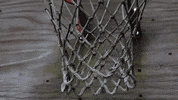 Scenic GIF by Originals