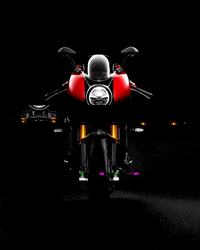 Motos Roadster GIF by Triumph Colombia - Grupo UMA
