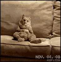 GIF by Demic