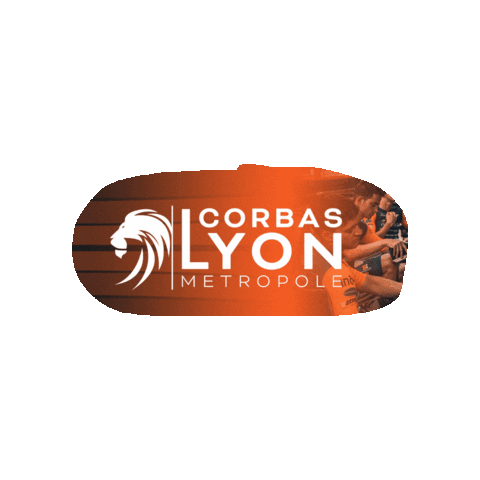 VCCORBAS giphygifmaker bike velo lyon Sticker