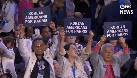 Democratic National Convention Dnc GIF by PBS News
