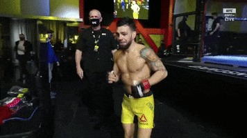 Security Guard Ufc GIF by ESPN