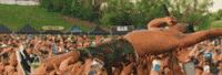 David Banner Festivals GIF by Social House Entertainment
