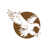 BiosfarVanerskargarden nature water animal eagle Sticker