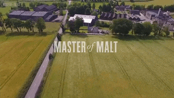 drone whisky GIF by Master of Malt