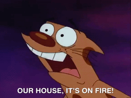nicksplat GIF