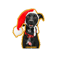 Dog Christmas Sticker