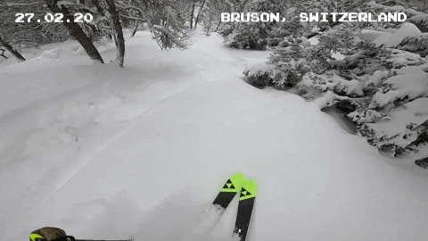 benhume giphygifmaker GIF