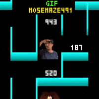 Maze 491 Mose GIF