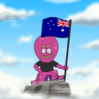 Australia Flag GIF by Octo Gaming