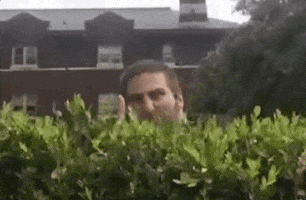 Asl Analyze GIF