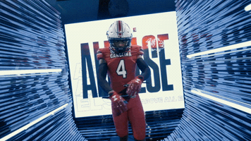 College Football GIF by gamecocksonline