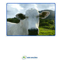 Sticker by Agro Amazônia