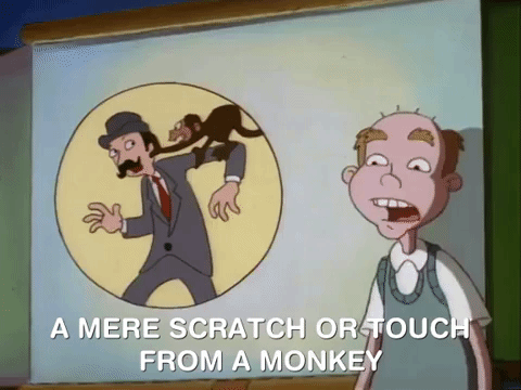 hey arnold nick splat GIF