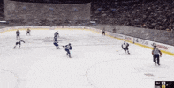 hockey boards GIF