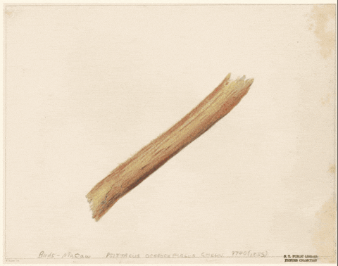 Flying Away GIF by GIF IT UP