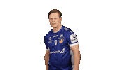 Sport Celebrating Sticker by EHF