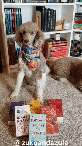 Wheel Of Time Books GIF by Geekster Pets
