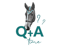 scuderia1918 teal qa q and a q a Sticker