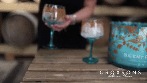 Gin Tonic Alcohol GIF by Croxsons