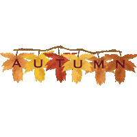 Autumn Clouds Sticker